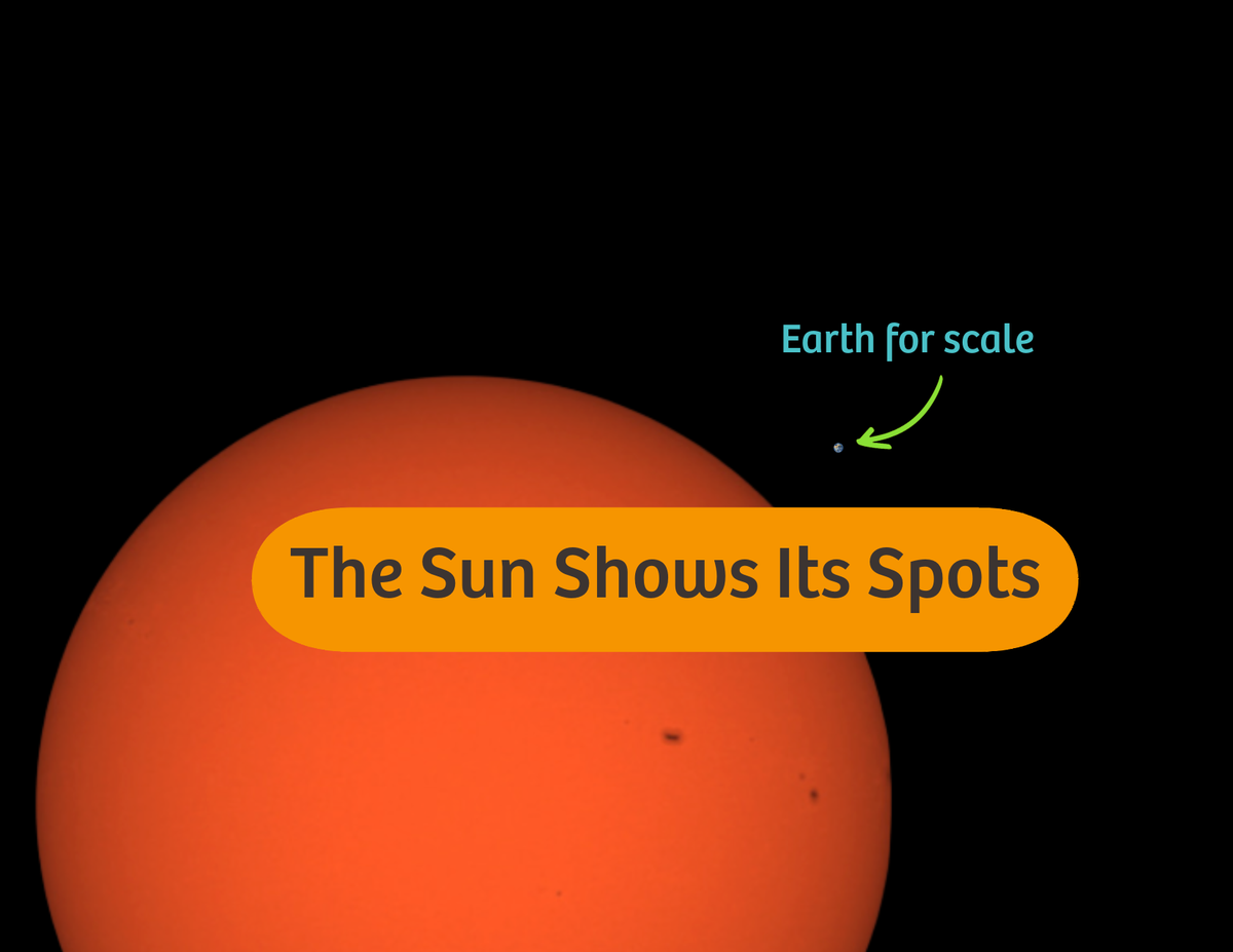 Infographic of sunspots seen with a home telescope, with Planet Earth for scale.